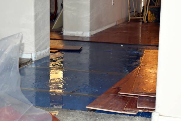 Professional Water Damage Restoration technician working in Glenford, OH